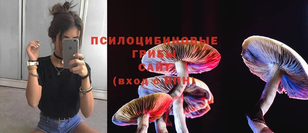 ПСИЛОЦИБИНОВЫЕ ГРИБЫ Верхний Тагил