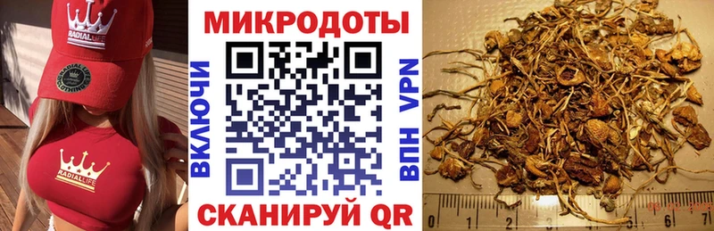 mega ТОР  Прокопьевск  Галлюциногенные грибы Magic Shrooms 